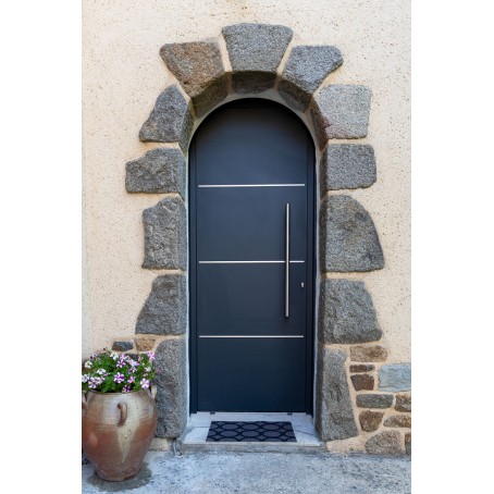 Porte d'entrée en ALU