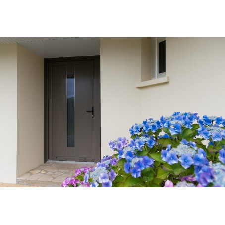 Porte d'entrée en ALU avec panneau décor et liserés inox